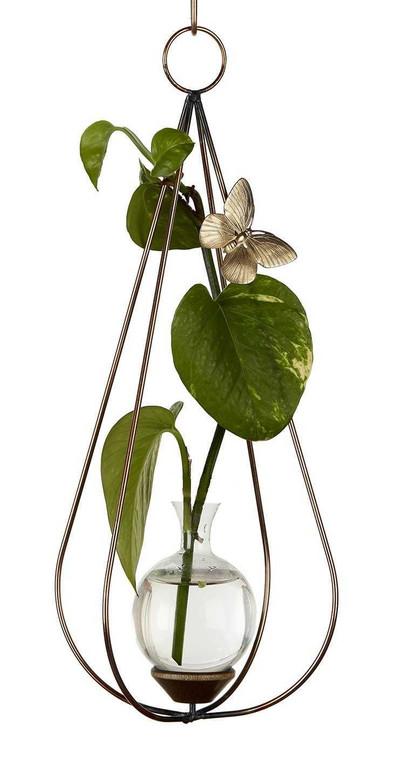Dimensional teardrop hanging rooting vase with Brass Butterfly accent, handblown glass, and copper-coated finish with pothos plant cutting in water