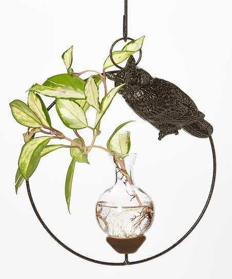 Owl hanging rooting vase with gold vein finish and handblown glass vase holding wandering plant in water