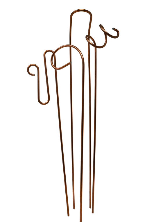 Bring sculptural botanical detail to your indoor plants with this set of four decorative curly plant stakes. Handcrafted in Vermont from sturdy copper-coated steel, each piece is formed with soft organic curves designed to support stems and guide wandering vines while blending naturally into plant displays.

Features & Details

• Handcrafted in Vermont
• Set of four decorative curly plant stakes
• Crafted from durable 1/8" copper-coated steel
• Designed to support stems and guide trailing vines
• Sculptural curved design adds decorative botanical detail
• Designed for decorative indoor use

Product Measurements

Approximately 12–13" H

Includes

• Set of 4 decorative curly plant stakes

Note

Each piece is handcrafted, with slight variations in shape and finish adding to the unique character of every set.

Handcrafted in Vermont • Always Free Shipping