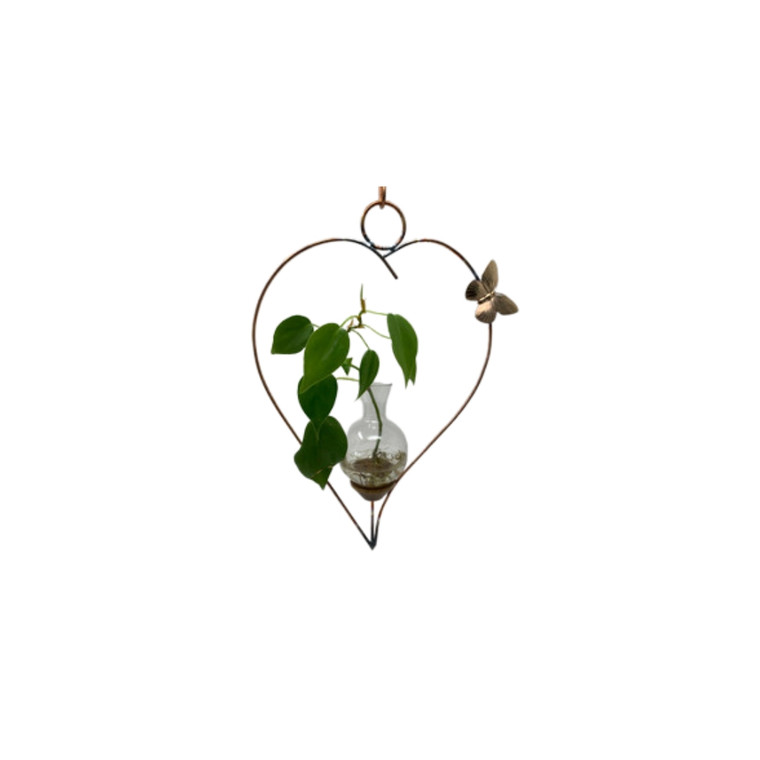 Whimsical Heart Hanging Rooting Vase with hand-blown glass and brass butterfly accent, handcrafted in Vermont with wandering plant without background