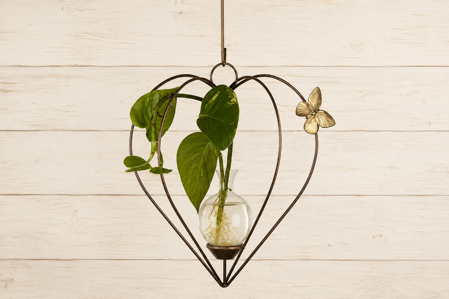 Pothos cutting with visible roots in a Brass Butterfly Dimensional Heart hanging vase