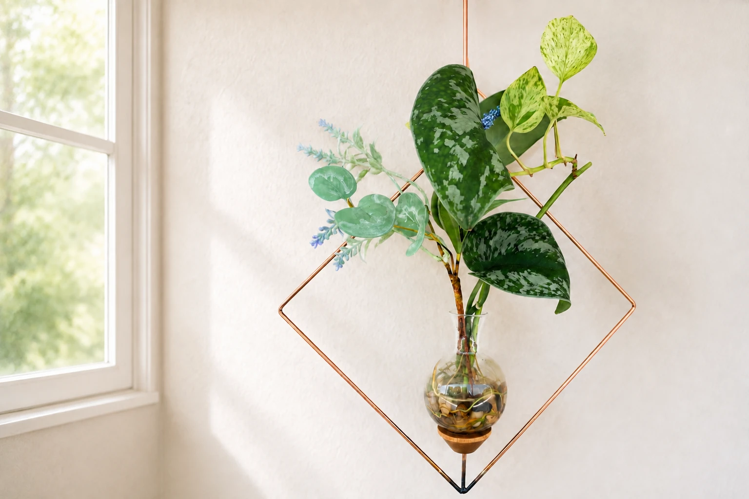 Plant cuttings rooting in water in a Brass Butterfly Dimensional Diamond hanging vase Today 12:10 PM • 360 Chars • 55 Words