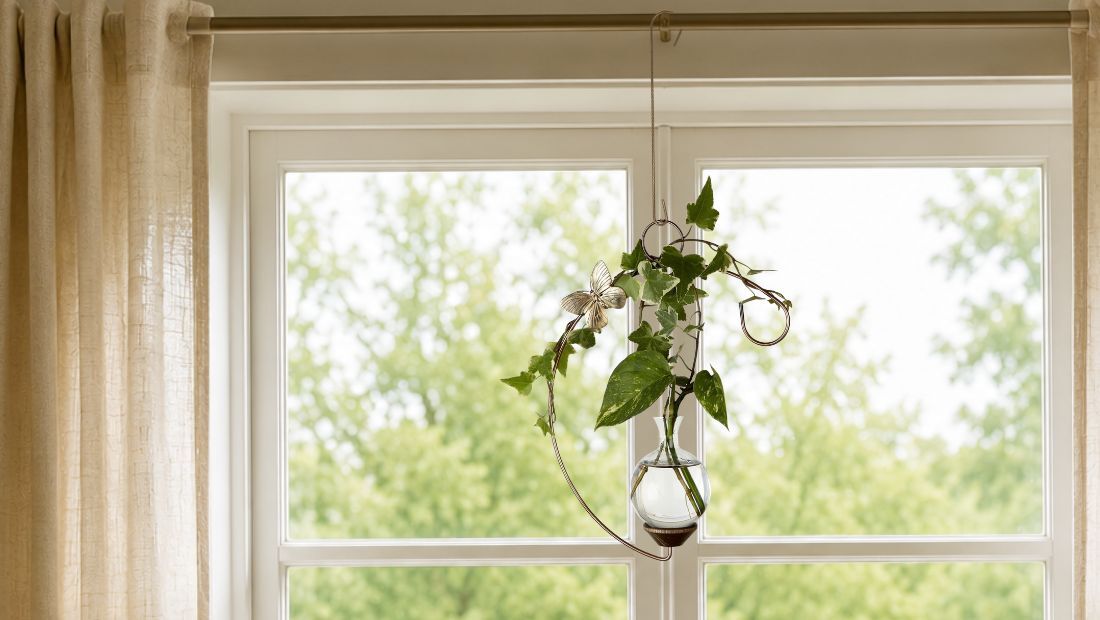Handcrafted crescent hanging propagation vase with hand-blown glass and plant cutting in window