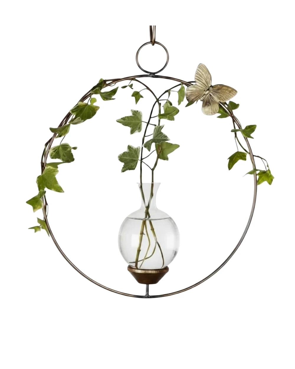 Round hanging propagation vase with trailing ivy and visible roots displayed against a translucent background.