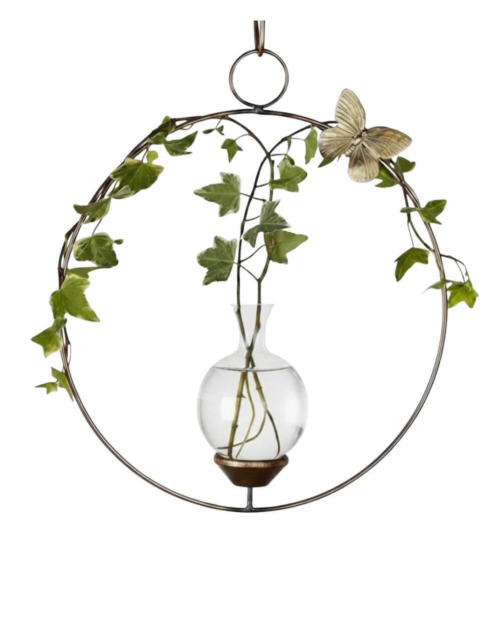Round hanging propagation vase with trailing ivy and visible roots displayed against a translucent background.