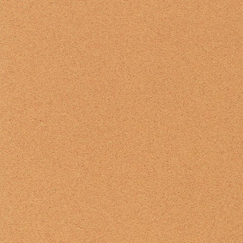 Sennelier Pastel Card 65cm x 50cm Peach