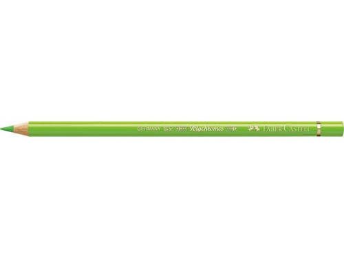 Polychromos Artists' Pencil Light Green (171)