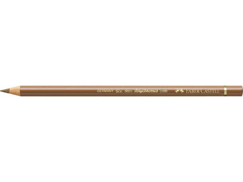 Polychromos Artists' Pencil Raw Umber (180)