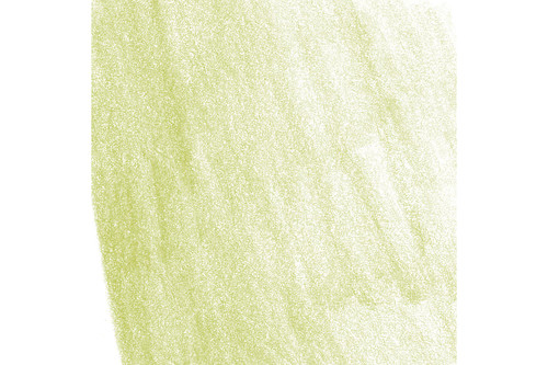 Pitt Pastel Pencil May Green (170)
