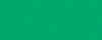 Amsterdam Marker (Medium) - Emerald green