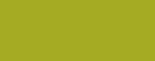 Amsterdam Marker (Medium) - Olive green Light