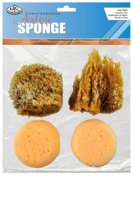 Natural & Synthetic Sponges (4 in Pack)