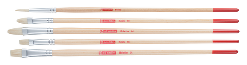 Budget BRISTLE BRUSH SET OF 5