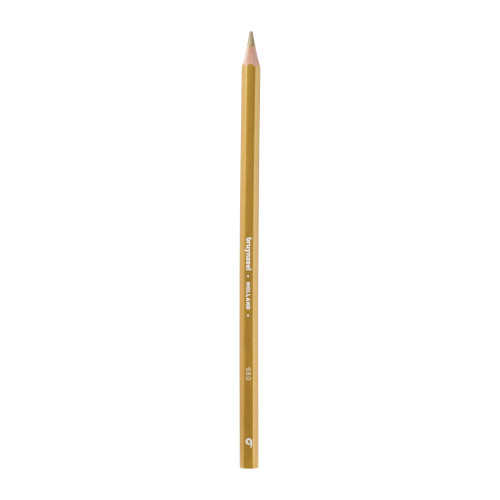 Bruynzeel Super Colour PencilsGold