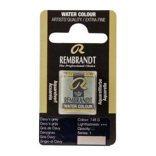 Rembrandt Water colour Pan Davy's Grey