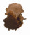 Hydrus - 15ml [1/2 oz] - Burnt Umber