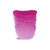 Rembrandt Water colour Pan Rose