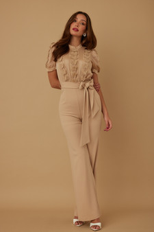 Multi Butterfly Sheer Pattern Jumpsuit​​​​