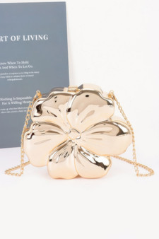 Metallic Acrylic Clutch​