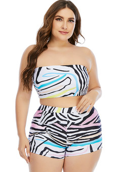 Plus Size Two Pieces Swimsuit Bikini