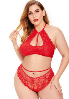 Plus Size Women Sexy Embroidered Sexy Lingerie