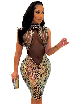 Women's Sequin Dress Slim Nightclub Sexy See-Through Bodycon Dress