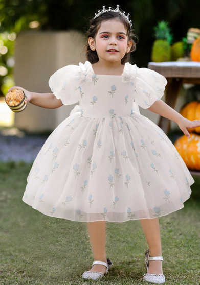 Girls' Puff Sleeves Princess Dresses Children's Dresses