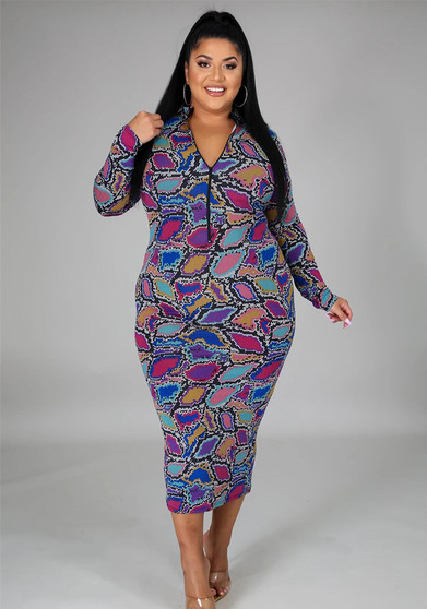 Plus Size Women V-neck Printed Long Sleeve Dress