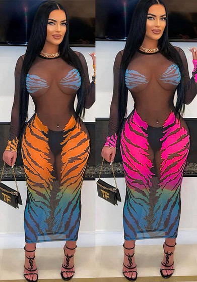 Women's Clothing Fashion Casual Tiger Print Mesh Dress