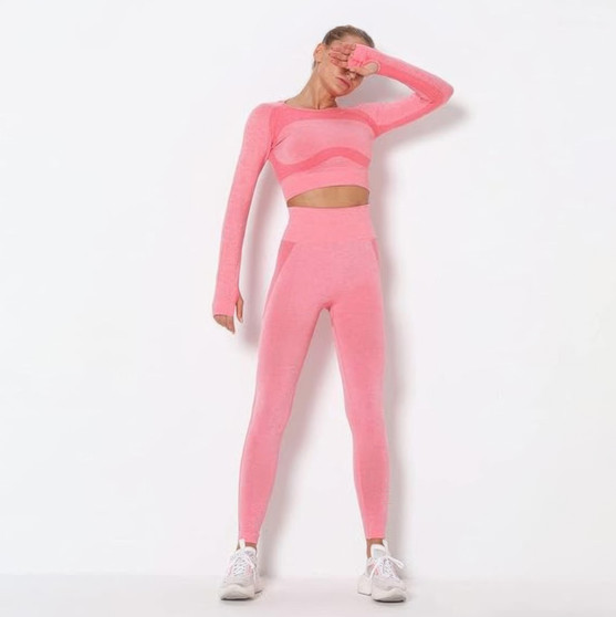 Seamless Long Sleeve Yoga Set​