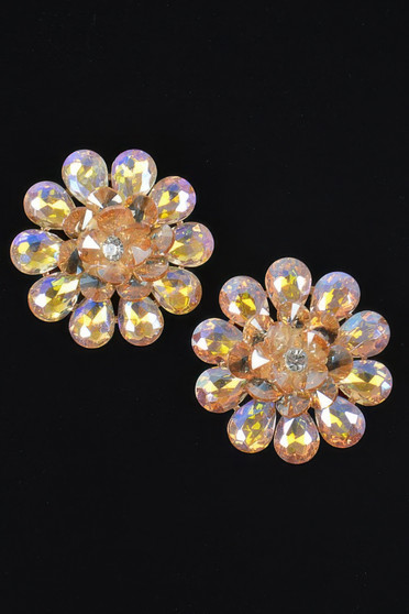 Rhinestone Studded Earring 