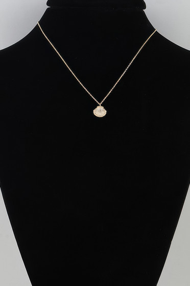 Polished Seashell Pendant Necklace 
