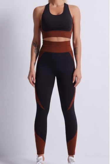 Seamless Color Block Yoga Set 