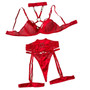 Valentine's Day Hole Mesh Push-Up Sexy Lingerie Four-Piece Set