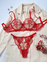 Flower Embroidery See-Through Mesh Sexy Bra and panty lingerie set