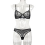 Women's Mesh See-Through Straps Two-Piece Sexy Lingerie Set