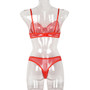 Women's Mesh See-Through Straps Two-Piece Sexy Lingerie Set