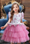 Trendy Children's Layered Mesh Princess Dress