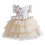 Trendy Children's Layered Mesh Princess Dress