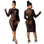 Women Sexy Long Sleeve Mesh Bodycon Dress