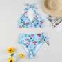 Multicolorprinted High-Waisted Two Pieces Bikini Swimsuit