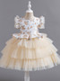 Children's Mesh Princess Dress Formal Party Dress