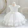 Girls' airplane sleeve princess dress