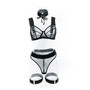 Women See-Through Sexy Lingerie Four-piece Set