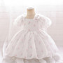 Girls' Puff Sleeves Princess Dresses Children's Dresses