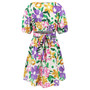 Women's Summer Printed V-Neck Lantern Sleeve Short Dress