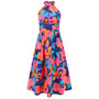 Women Sexy Stand Collar Sleeveless Printed Maxi Dress