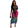 Women's Clothing Fashion Casual Tiger Print Mesh Dress