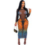 Women's Clothing Fashion Casual Tiger Print Mesh Dress