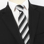 Spring Men's Business Tie